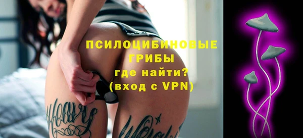 PSILOCYBIN Михайловка