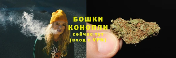 гидра Михайлов