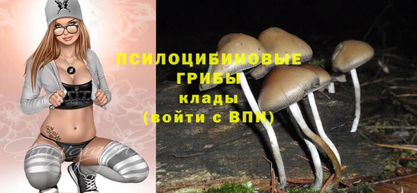 гидра Михайлов