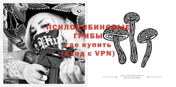PSILOCYBIN Михайловка