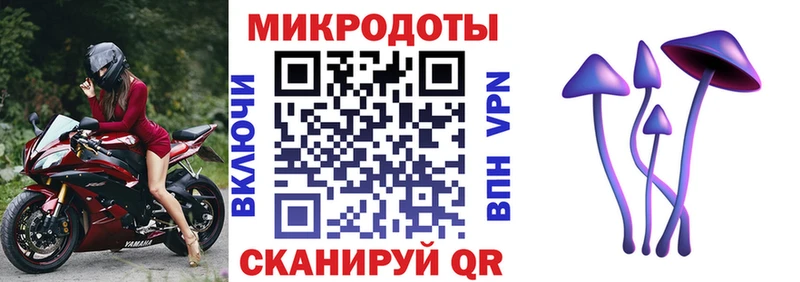 Купить где  Яровое  Псилоцибиновые грибы GOLDEN TEACHER 