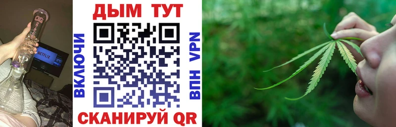 Каннабис семена  Купить  Яровое 